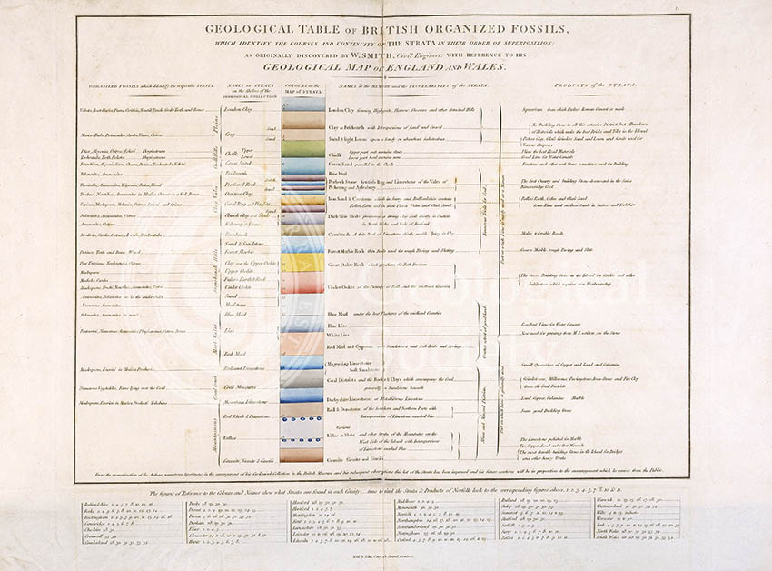 Geological Table of British Organized Fossils